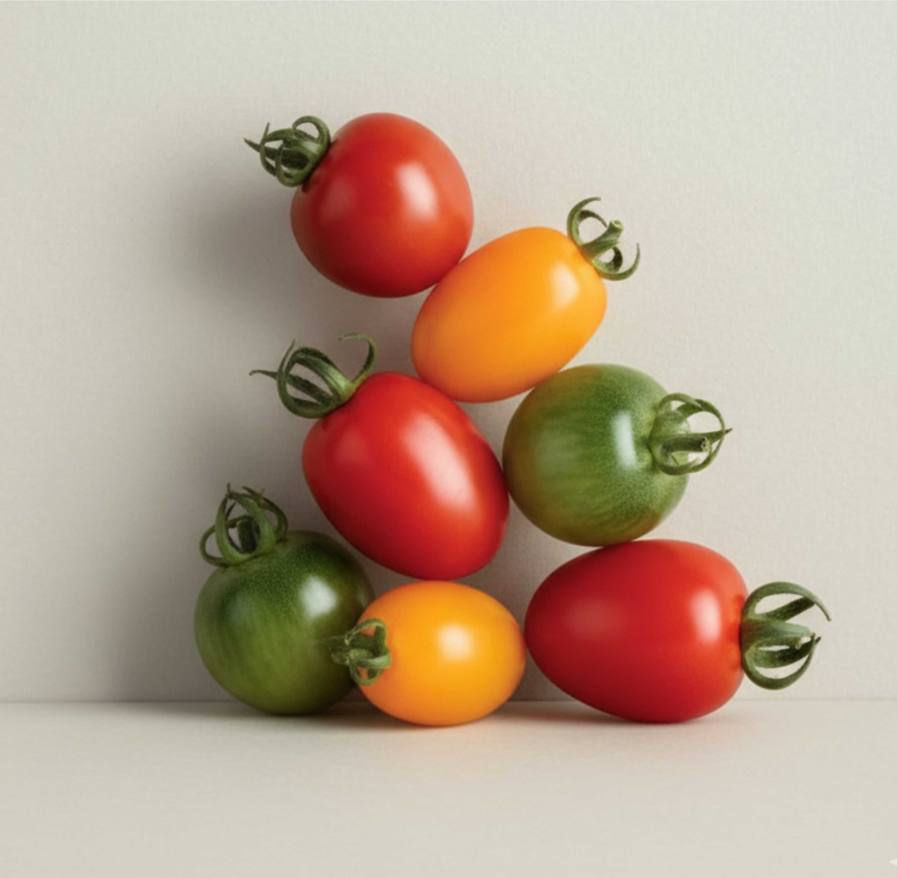 گوجههای گیلاسی رنگین کمانی