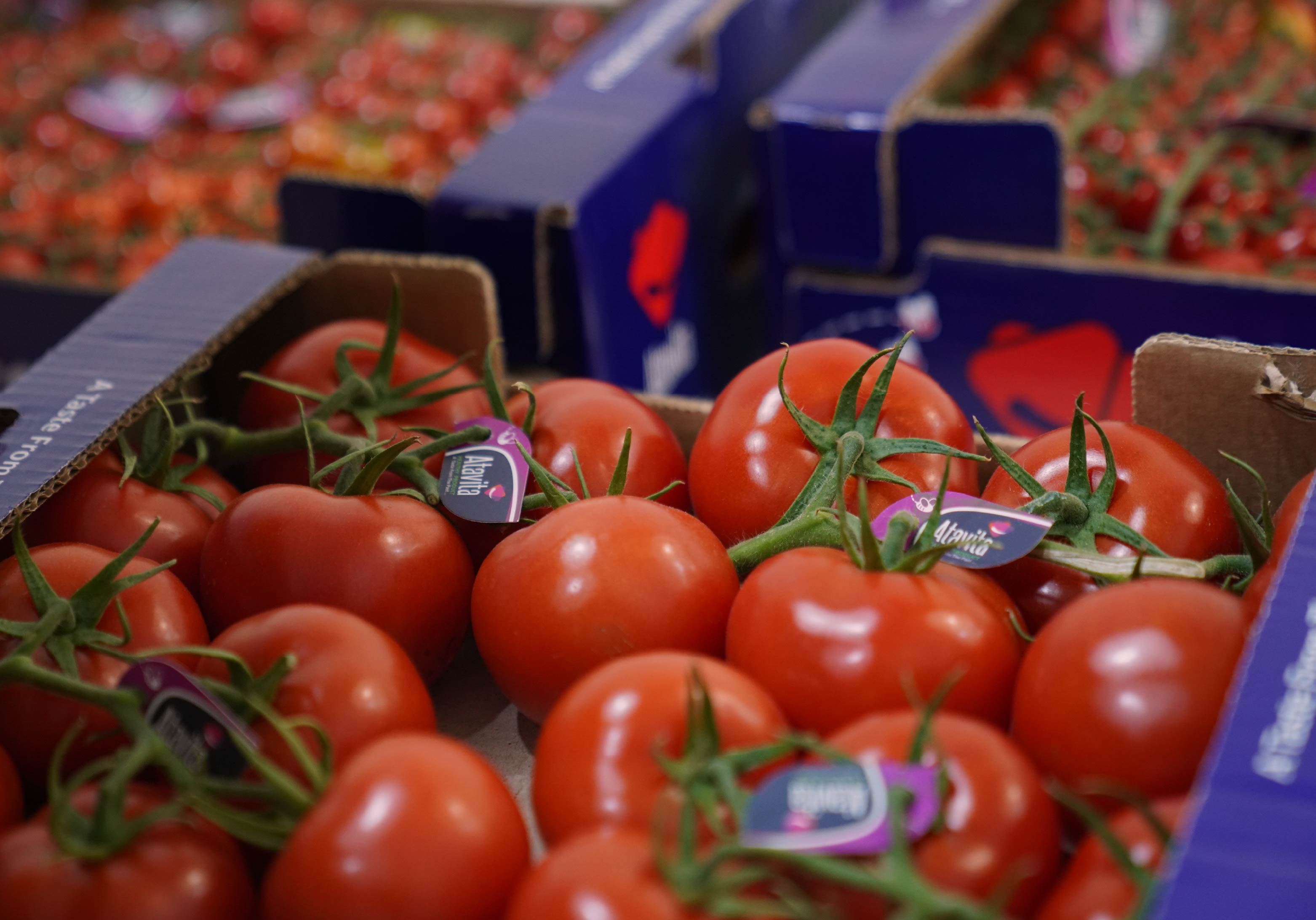 کاهش ضایعات غذایی با بسته‌بندی بهینه