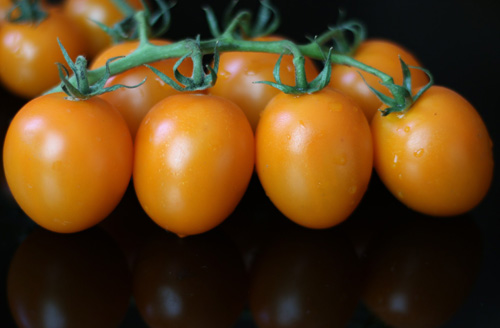 Tomato-cluster گوجه فرنگی کلاستر