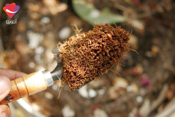 خاک کوکوپیت چیست و چه مزایایی دارد؟