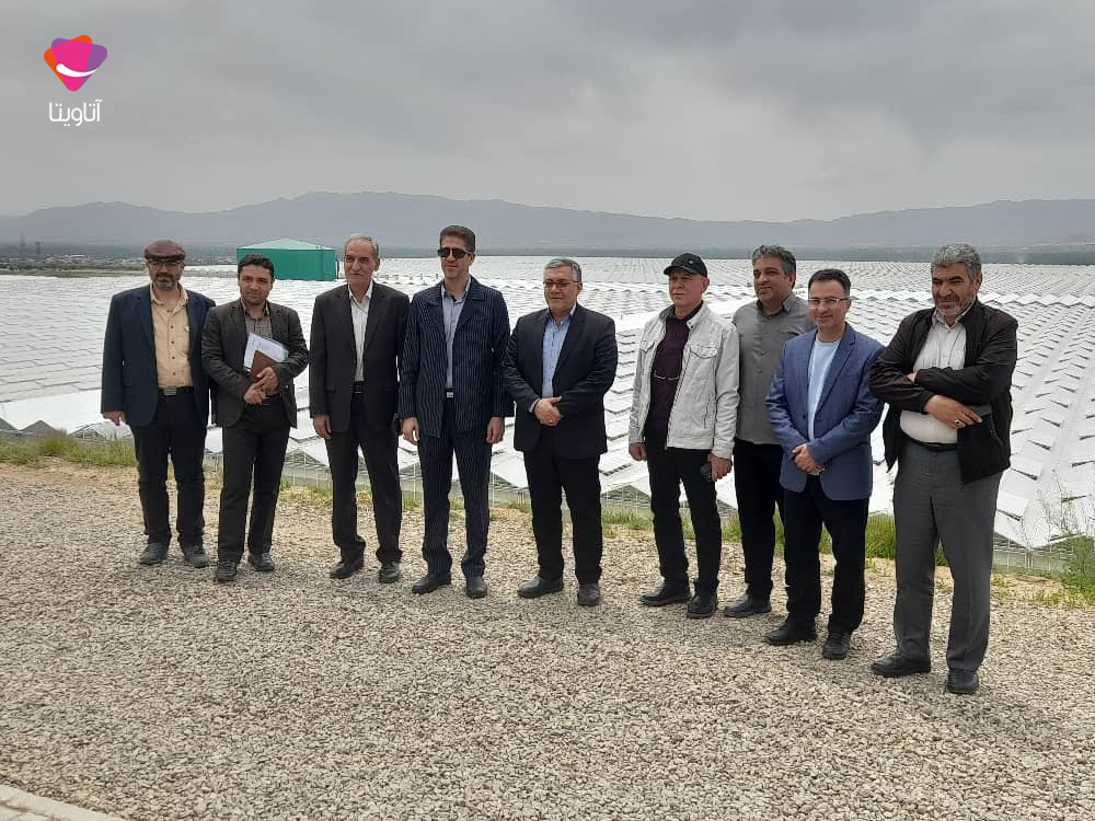 گلخانه هیدروپونیک