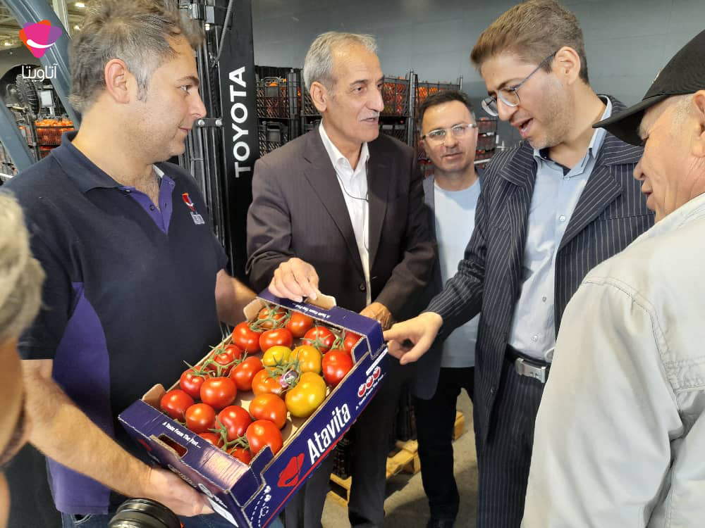 گلخانه هیدروپونیک