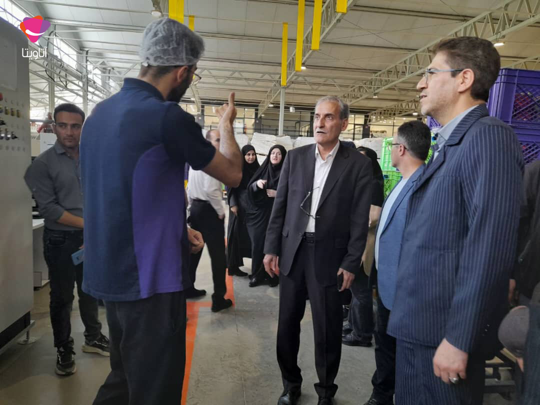 گلخانه هیدروپونیک آتاویتا
